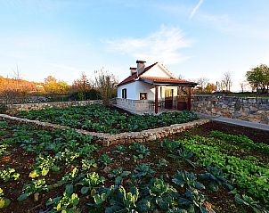 Verblijf 10313301 - Vakantiewoning Dalmatie - Vakantiehuis Bili dvori