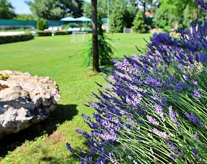 Verblijf 10313301 - Vakantiewoning Dalmatie - Vakantiehuis Bili dvori