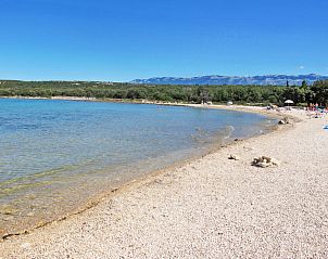 Guest house 10313806 - Apartment Dalmatia - Appartement Martina