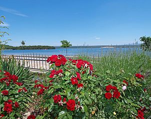 Verblijf 10315502 - Appartement Dalmatie - Appartement Ivana