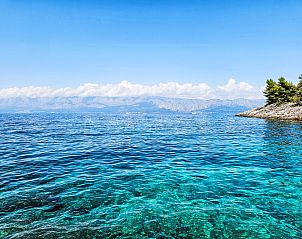 Guest house 10316805 - Apartment Dalmatia - Appartement Octopus