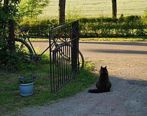 Guest house 10317203 - Bed and Breakfast Svealand - Rytterne Kyrkskola B&B