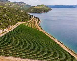 Guest house 10324407 - Holiday property Dalmatia - Vakantiehuis Marica