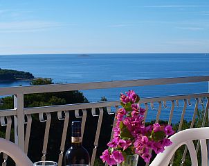 Guest house 1033508 - Holiday property Dalmatia - Vakantiehuis Mira