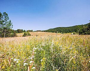 Verblijf 10414802 - Vakantiewoning Kvarner - Vakantiehuis Margherita