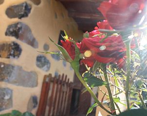 Verblijf 10814405 - Vakantiewoning Canarische Eilanden - Casa Rural Las Rosas