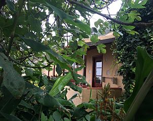 Verblijf 10814405 - Vakantiewoning Canarische Eilanden - Casa Rural Las Rosas