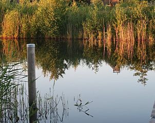 Rustige waterkant bij Vakantiehuisje in Sint Nicolaasga, omgeven door natuur in de Friese meren.