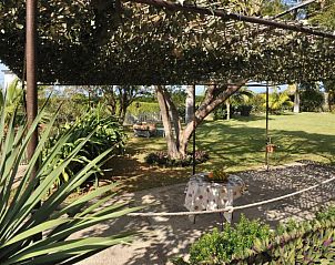 Guest house 11114404 - Holiday property Canary Islands - Casa del Abuelo Buenavista del Norte