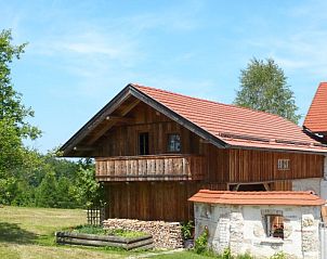 Unterkunft 11211201 • Ferienhaus Oberosterreich • Vakantiehuis Lehner im Wald (RZM100) 