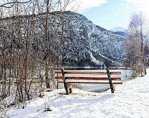 Verblijf 11212902 - Appartement Oberosterreich - Appartement Hasenstall / Top 8