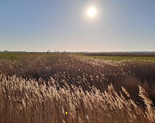 Verblijf 112607 - Stacaravan Belgische kust - Vakantieverblijf Wenduine