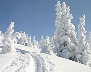 Verblijf 11310703 - Vakantiewoning Salzburg - Fintinn