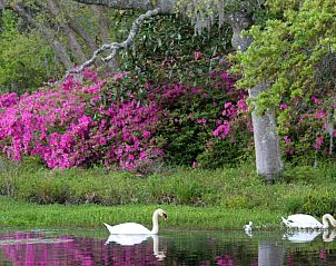 Verblijf 11325301 - Vakantie appartement Zuiden - Hilton Garden Inn Wilmington Mayfaire Town Center