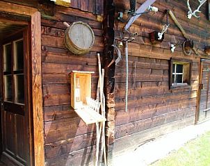 Verblijf 1140206 - Chalet Karinthië - Almhütte Unterhofer