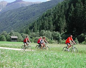 Verblijf 1140206 - Chalet Karinthië - Almhütte Unterhofer