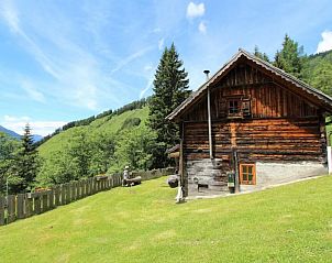 Verblijf 1140206 - Chalet Karinthië - Almhütte Unterhofer