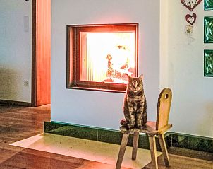 Verblijf 11428102 - Vakantiewoning Karinthië - Vakantiehuis Villa Techelsberg