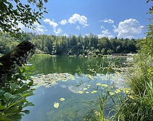 Guest house 11437901 - Holiday property Karnten - Residenz Aichwaldsee