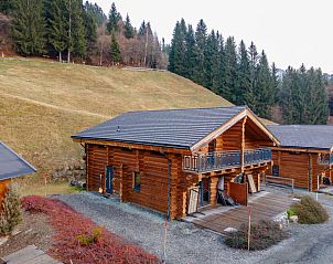 Verblijf 1149603 - Chalet Karinthië - Jenig 4A