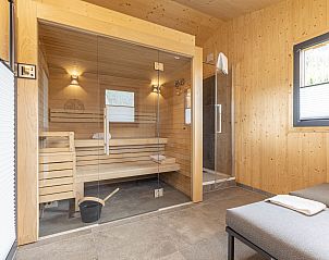 Guest house 1151142 - Holiday property Steiermark - Vakantiehuis Premium #62 mit Sauna&Sprudelbad