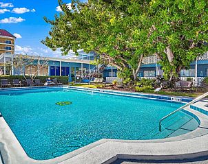 Verblijf 11625407 • Vakantie appartement Florida • Malibu Resort Motel 