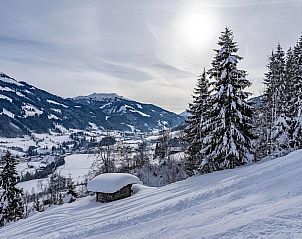 Unterkunft 1166613 - Ferienhaus Tirol - Apartments Waldinger Top 4