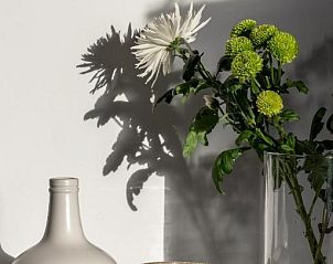 Verblijf 11906118 - Vakantie appartement Overige eilanden - Cocoon Suites