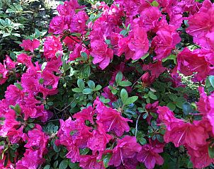 Guest house 1211201 - Holiday property Polaland South - Vakantiehuis Wieliczka