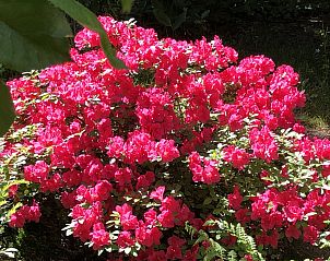 Guest house 1211201 - Holiday property Polaland South - Vakantiehuis Wieliczka