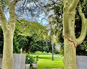 Verblijf 1226403 - Vakantiewoning Oost-Kaap - Broadlands Country House