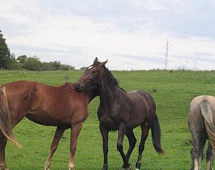 Guest house 1270801 - Bed and Breakfast Namur - B&B La Place Verte