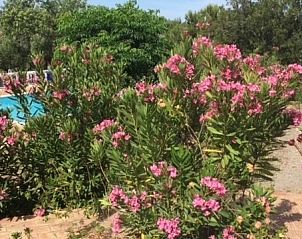 Verblijf 1273445 - Vakantiewoning Algarve - Casa Palmeira-Casa Cameleão