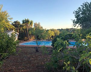 Verblijf 1277601 - Bijzondere overnachtingen Algarve - Monte Rosa - Huisje 3