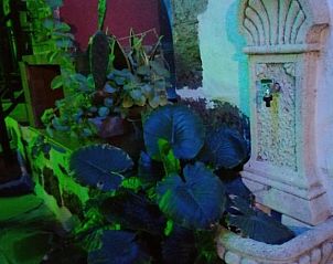 Verblijf 12914409 - Vakantiewoning Canarische Eilanden - Casa Rural La Piedra Viva-GRUPOS