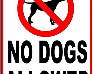 Verblijf 13110801 - Vakantiewoning Noord Noorwegen - Ulvsvåg Gjestgiveri og Fjordcamping AS