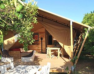 Guest house 1316685 • Apartment Mediterranean region • Campo Portakal Eco Glamping 