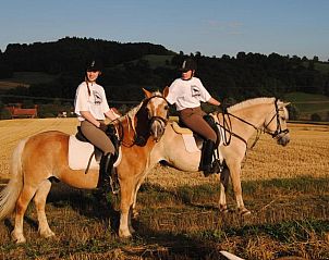 Verblijf 13202402 - Appartement Hessen - Gut Dankerode