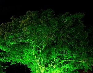 Verblijf 1326423 - Vakantiewoning Oost-Kaap - Africanos Country Estate