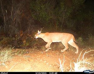 Guest house 13327201 - Holiday property West-Kaap - Farm 215 Private Nature Reserve