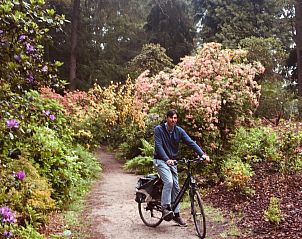 Verblijf 135002 - Bed and breakfast Noord-Holland zuid - Art+bed and breakfast