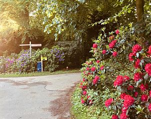 Verblijf 135002 - Bed and breakfast Noord-Holland zuid - Art+bed and breakfast