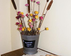 Unterkunft 13514706 - Appartement Katalonien / Pyrenäen - Apartaments l'Arrel