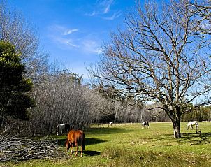 Verblijf 13527201 - Vakantiewoning West-Kaap - Doornbosch Game Lodge and Guest Houses