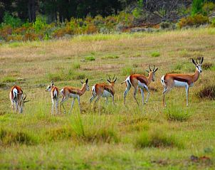 Verblijf 13527201 - Vakantiewoning West-Kaap - Doornbosch Game Lodge and Guest Houses