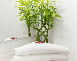 Verblijf 14014412 - Appartement Canarische Eilanden - Apartamentos Centro Cancajos