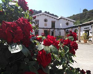 Verblijf 14101905 • Bed and breakfast Andalusie • Hacienda Puerto De Las Muelas 