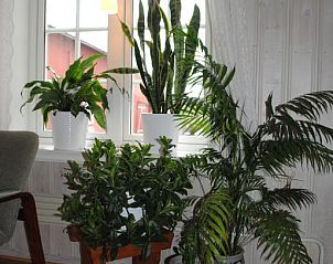 Verblijf 1410903 - Vakantie appartement Midden Noorwegen - Grong Gård Guesthouse