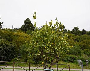 Verblijf 1414408 - Vakantiewoning Canarische Eilanden - Casonas de Marengo