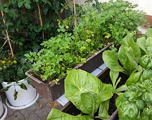 Verblijf 14203301 - Vakantiewoning Beieren - Waldgasthof - Hotel Schiederhof